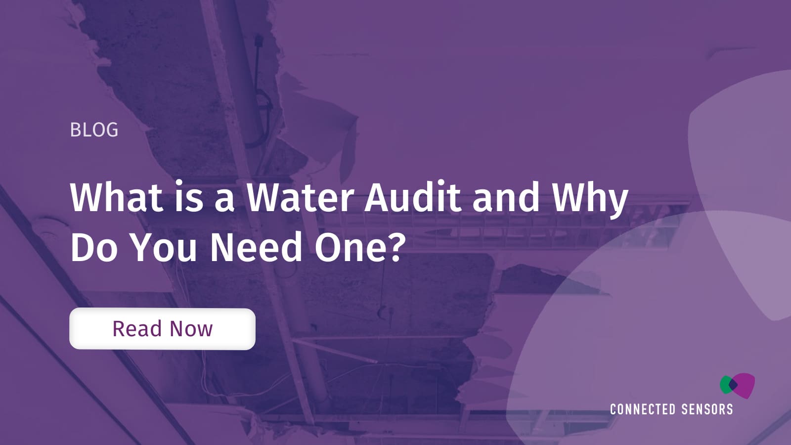What is a Water Audit