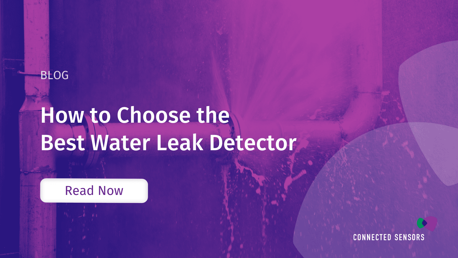 How to Choose the Best Water Leak Detector