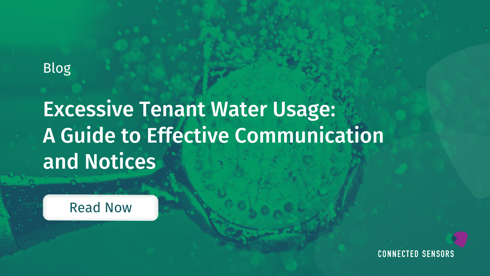 Excessive Tenant Water Usage: A Guide to Clear Communication and Effective Notices