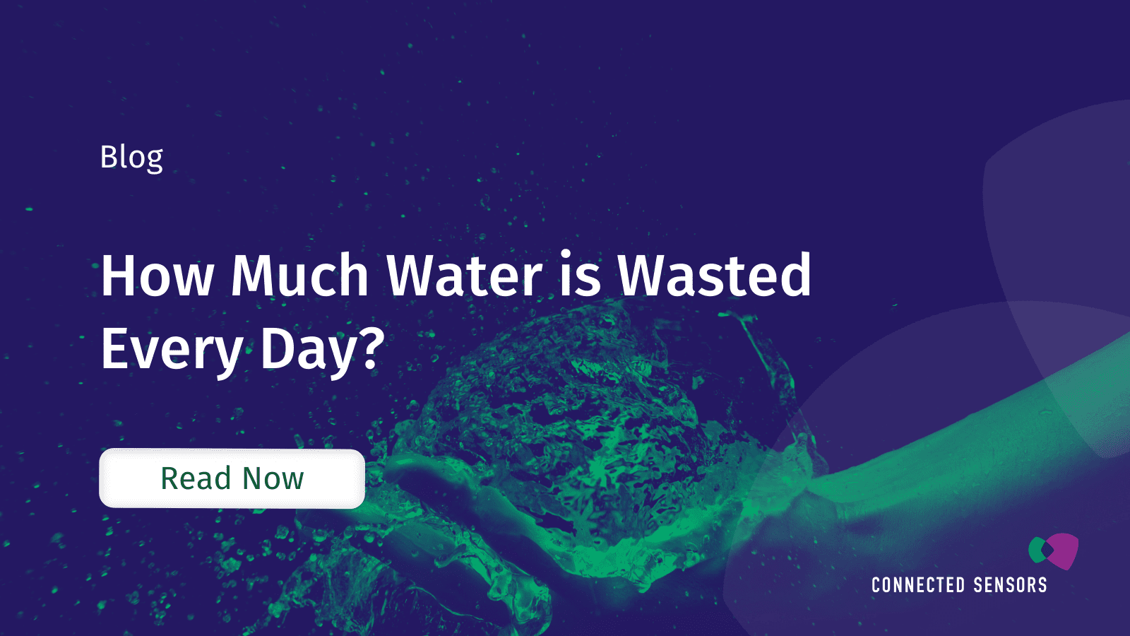 How Much Water is Wasted Every Day?