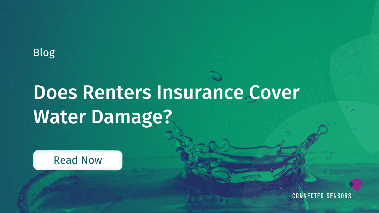 Does Renters Insurance Cover Water Damage?