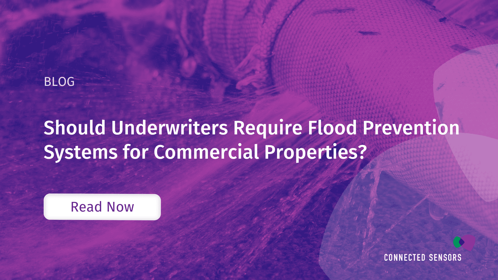 Should Underwriters Require Flood Prevention Systems for Commercial Properties?