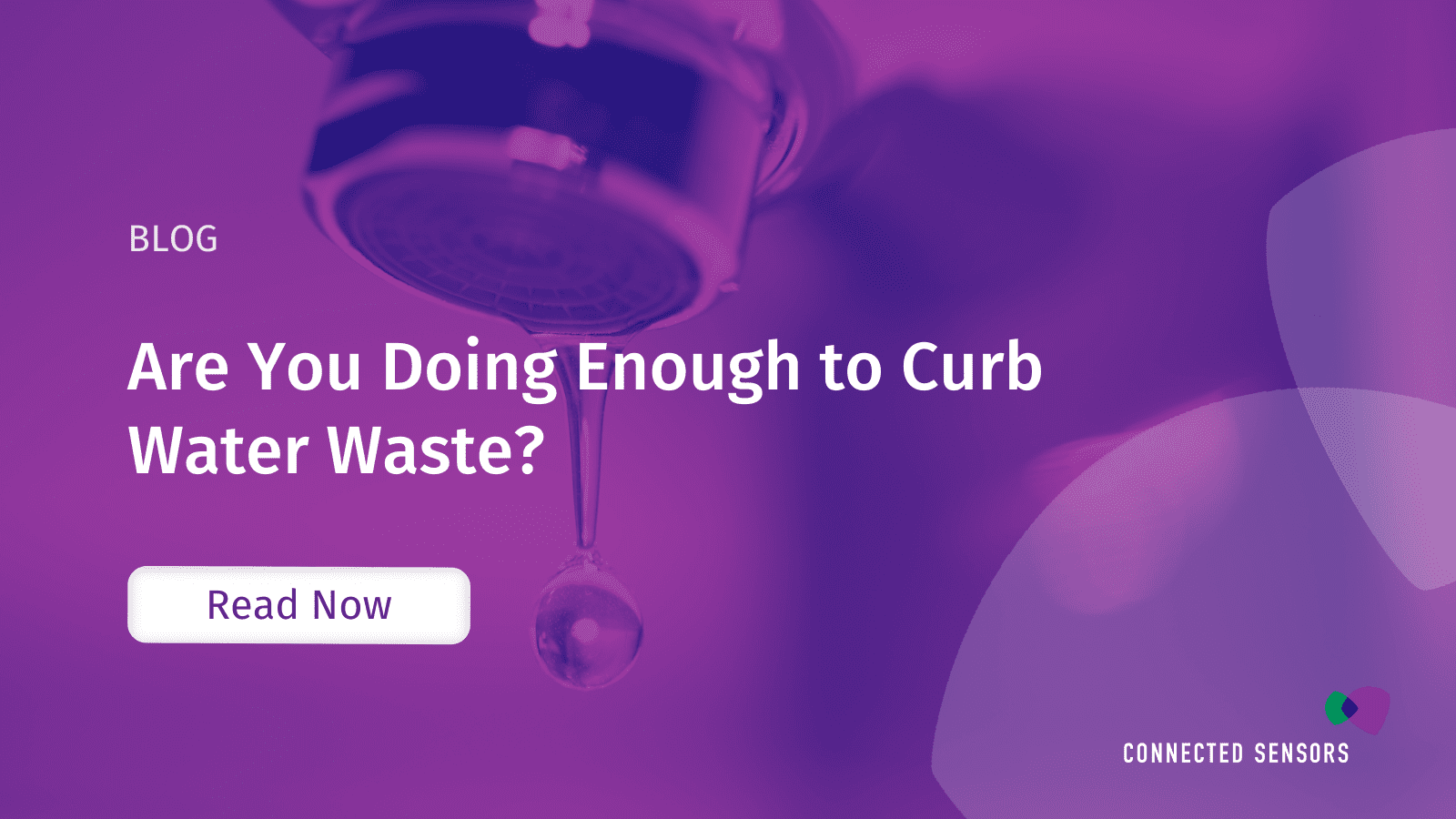 Are You Doing Enough to Curb Water Waste?