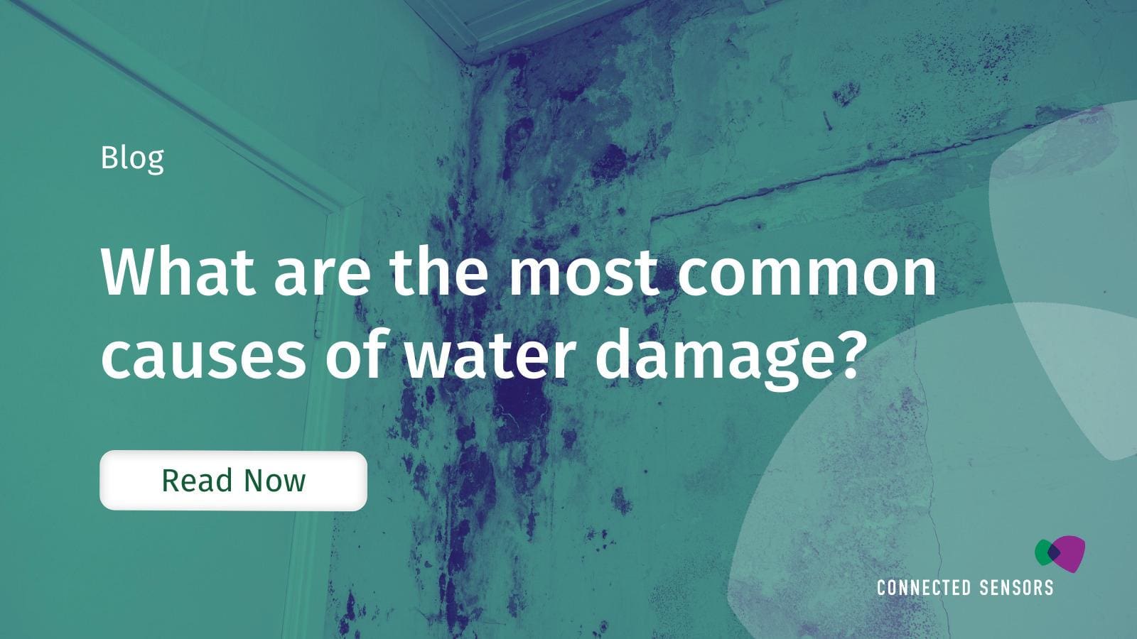 Causes of Water Damage