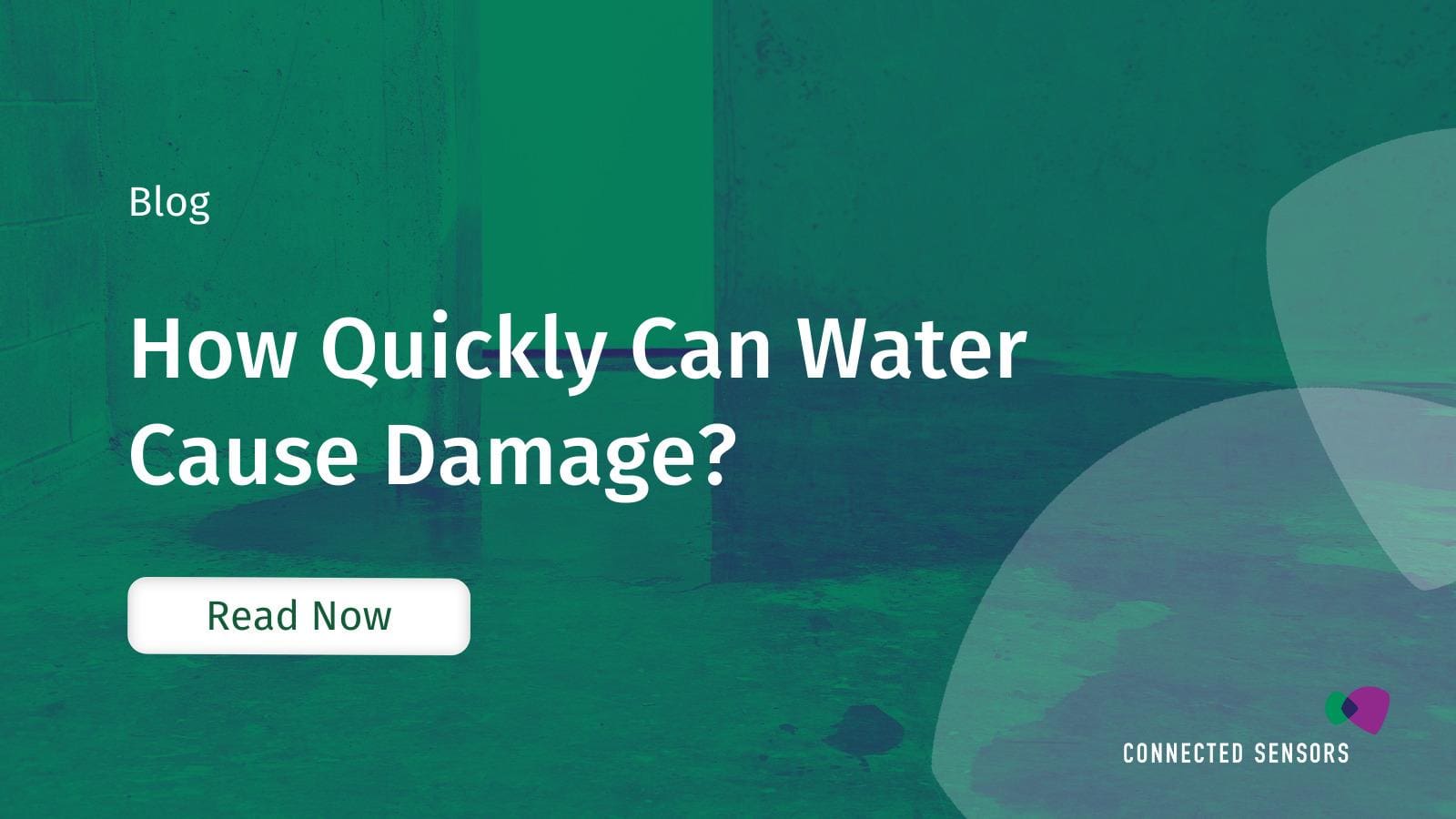 How Quickly Can Water Cause Damage?
