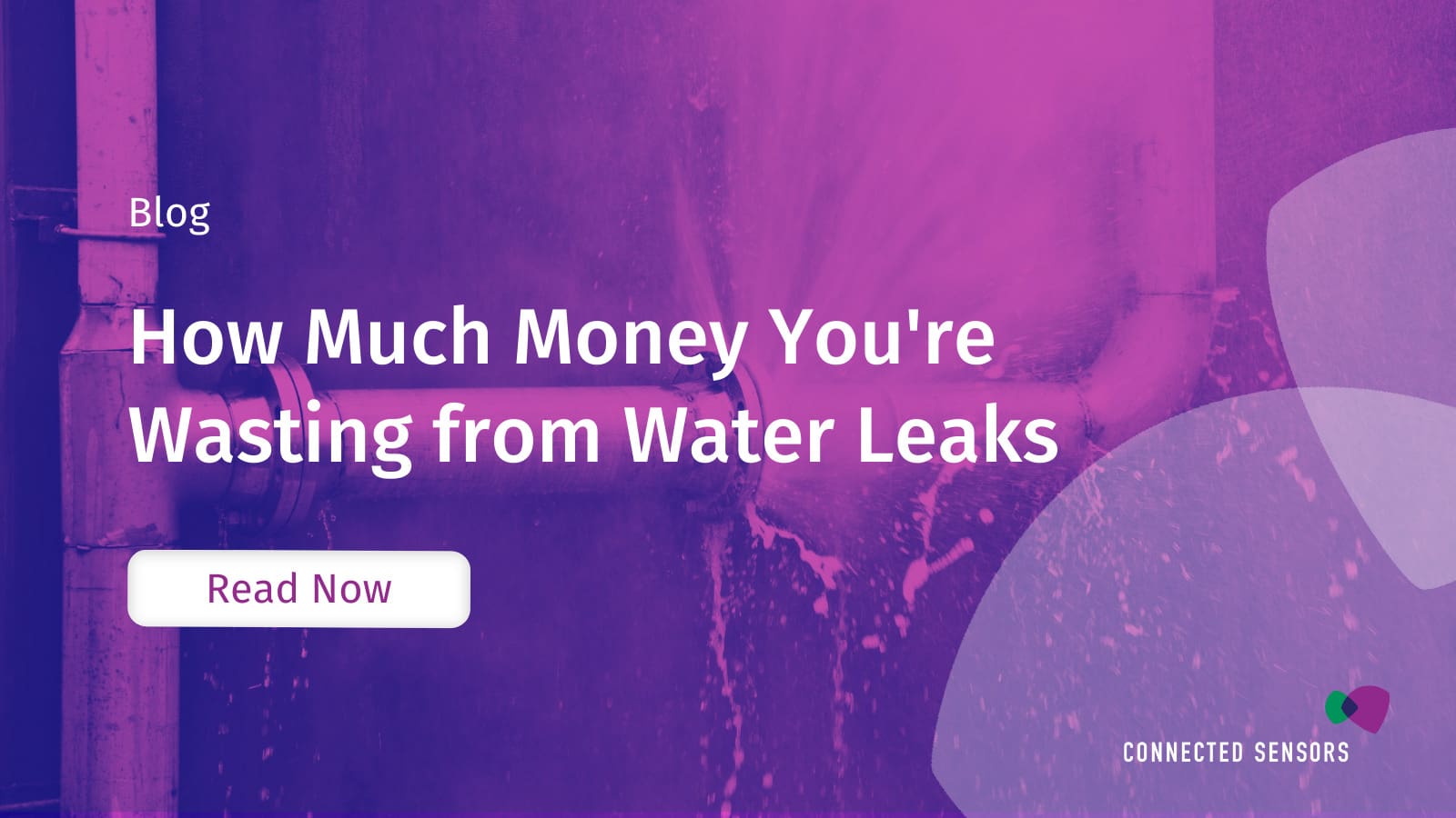 How Much Money You're Wasting from Water Leaks